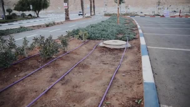 道路の近くの砂漠の乾燥した気候に対する装飾的な植物のためのドリップ灌漑システムのステディカムウォーキングショット イスラエル — ストック動画