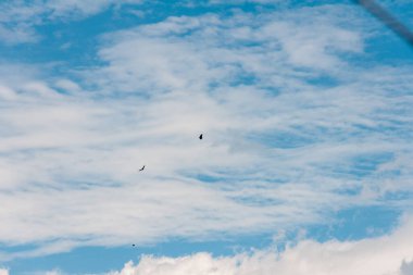 blue sky withe clouds 