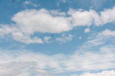 blue sky withe clouds 