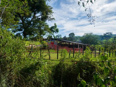 Yeşil manzaralı sığır çiftliği