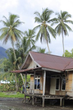 Hint Okyanusu adası manzarası