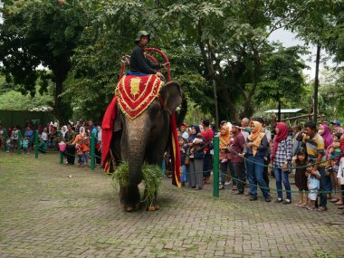Dünya adası şehrindeki kutsal mezarlık pazarı.
