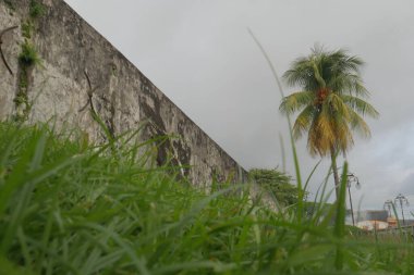 İsrail 'in kuzeyindeki Akdeniz adasının güzel manzarası.