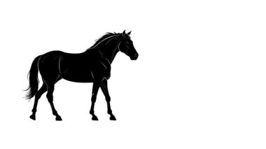 Pürüzsüzce ekranda hareket eden parlak siyah bir siluet zarif ve minimalist bir görsel efekt yaratıyor.