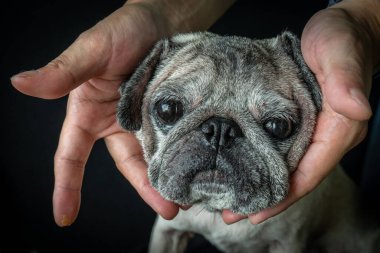 Fabrikayı karla kapatın. Çin 'in güzel manzarası. Eksi 20 ile eksi 30 derece arasında son derece soğuktu. Bana beyaz bir kışı ya da Noel 'i hatırlatıyor.