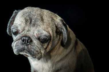 Fabrikayı karla kapatın. Çin 'in güzel manzarası. Eksi 20 ile eksi 30 derece arasında son derece soğuktu. Bana beyaz bir kışı ya da Noel 'i hatırlatıyor.