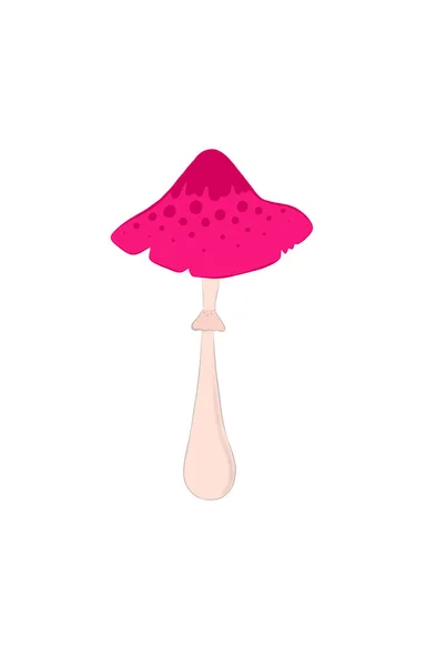 mushroom icon. cartoon illustration of mushrooms art