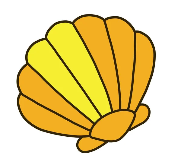 deniz kabuğu simgesi grafik tasarımı