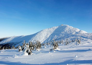 Krkonose Dağları 'ndaki Snezka Dağı' nın zirvesi, güneşli bir günde kış boyunca uzanır. Polonya, Avrupa