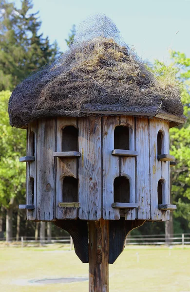 Closeup Old Wooden Dovecote Standing Garden Free Standing Empty Dovecot — Stock Photo, Image