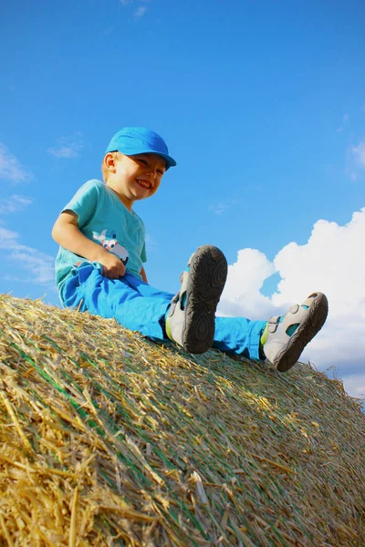 夏天的一天 快乐的3岁白人男孩与蓝天坐在干草桶的顶部 无忧无虑的童年 享受童年和夏天 儿童节和收获结束的概念 免版税图库照片
