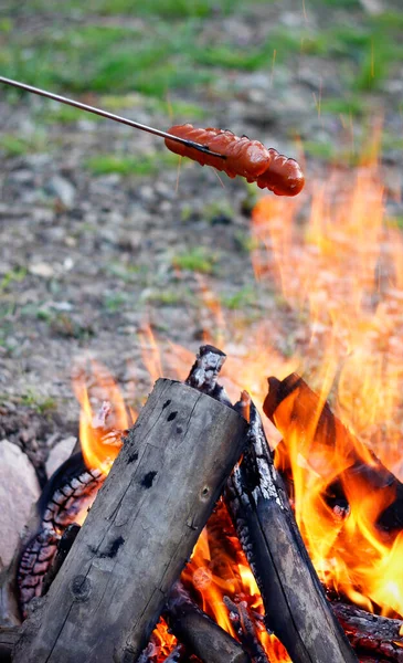 저녁에는 모닥불 소시지를 쇠스랑에 튀겼습니다 야영이나 정원에서 저녁으로 소시지를 시골에서의 — 스톡 사진