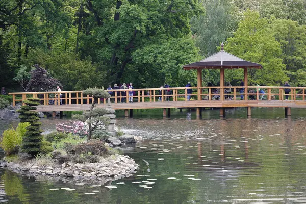 Wroclaw, Polonya - 10 Mayıs 2025: Ahşap köprüsü ve gölün üzerinde çardağı olan, ağaçlar ve yeşilliklerle çevrili, insanların botanik parkında doğanın tadını çıkardığı huzurlu bahar manzarası