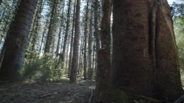 beautiful sunset juicy sunsetthe mountainssea and sunsetcity sunset city