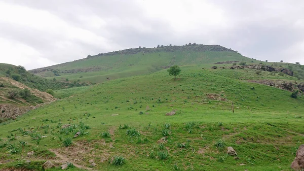 Dağlarda yeşil çayır
