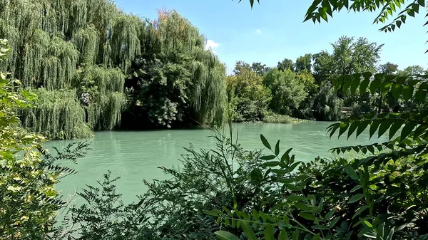 Park ve nehir.