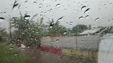 rain is falling. in rural areas. with views of wild gardens in a village