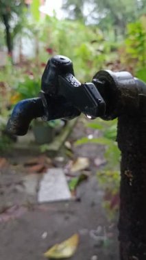 dripping water faucet, even though it has been tightly closed. in the flower garden. morning mood