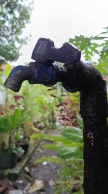 dripping water faucet, even though it has been tightly closed. in the flower garden. morning mood