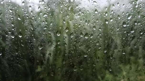 Lluvia Está Cayendo Las Zonas Rurales Con Vistas Los Jardines — Vídeo de stock