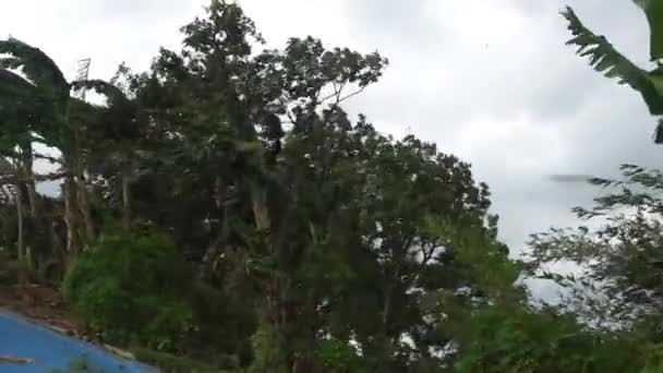 Wind Blowing Hard Blowing Away Trees Extreme Weather — Stock videók