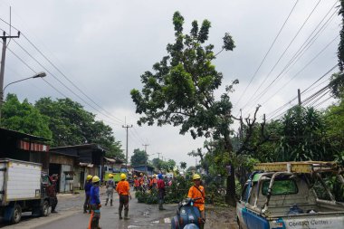 A number of workers were cutting trees on the side of the highway.