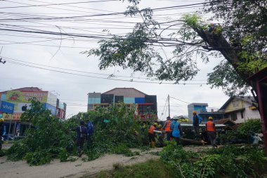A number of workers were cutting trees on the side of the highway.