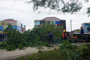A number of workers were cutting trees on the side of the highway.