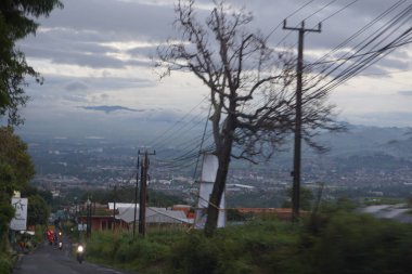 View of a fresh green expanse on the side of the road, with a background of residential areas and mountains.