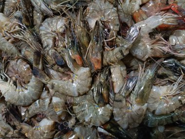 Taze karides ya da buz üstünde karides, süpermarketlerde satılıyor.