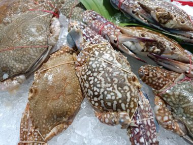 Buzda taze yengeç, süpermarketlerde satılıyor.