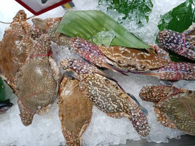 Buzda taze yengeç, süpermarketlerde satılıyor.