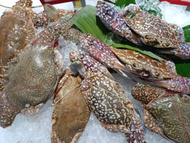 Buzda taze yengeç, süpermarketlerde satılıyor.