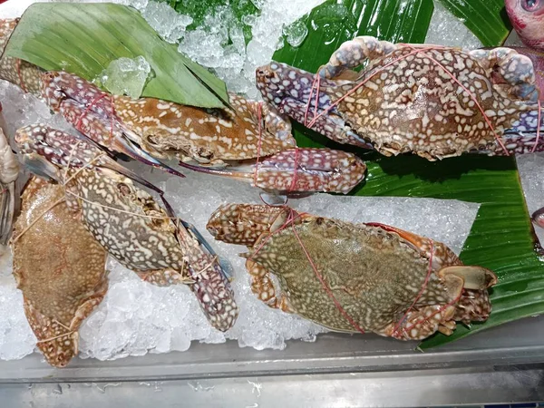 fresh crab on ice, sold in supermarkets