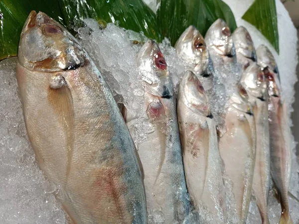 fresh fish on ice, sold in supermarkets
