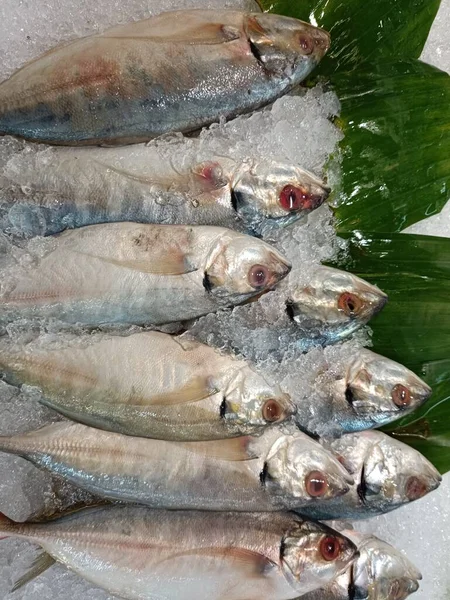 fresh fish on ice, sold in supermarkets
