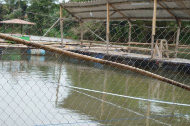 Gölün ortasında bir balık çiftliği, çok basit görünüyor, bambudan yapılmış ve tel bir çit bariyer.