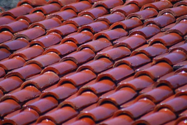 Крыша Красной Черепицы — стоковое фото