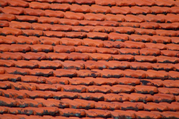 Крыша Красной Черепицы — стоковое фото