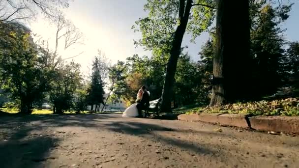 Наречений Наречена Сидять Лавці Парку Осінній Парк Ранкове Сонце — стокове відео