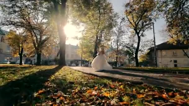 新婚夫妇在这座城市的秋天公园里跳舞 新郎把新娘抱在怀里 — 图库视频影像
