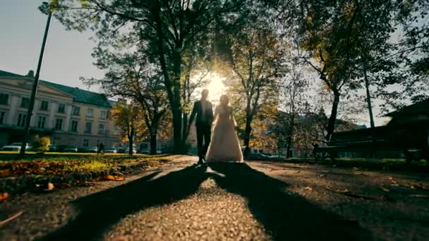 Szczęśliwych Nowożeńców Spacerujących Parku Promienie Słońca Oświetlają Sylwetkę Młodej Pary — Wideo stockowe