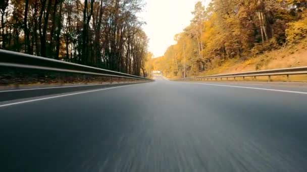 Вид Сзади Автомобиля Асфальтированную Дорогу Осеннем Лесу Быстрый Автомобиль Замедленной — стоковое видео