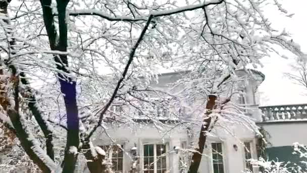 Big Beautiful House Winter Its Yard — Stock Video