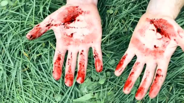 Close Homem Mãos Cobertas Sangue Mans Mãos Sangue Fundo Grama — Vídeo de Stock