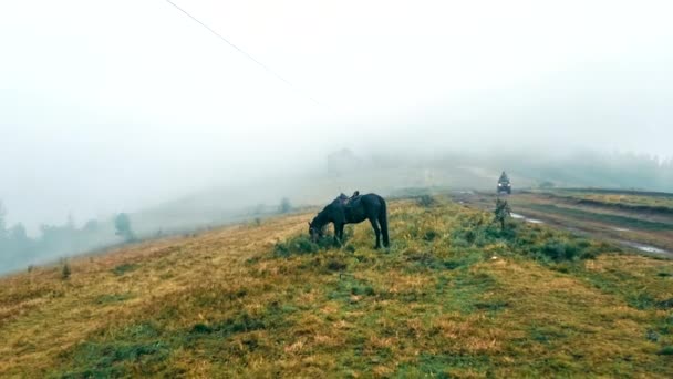 Cheval Solitaire Broute Dans Les Montagnes Par Temps Nuageux Brumeux — Video