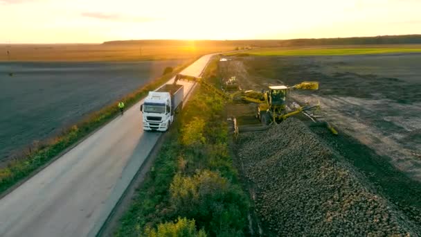 Suikerbieten Een Vrachtwagen Laden Bij Zonsondergang Landbouw Bij Zonsondergang Industrieel — Stockvideo