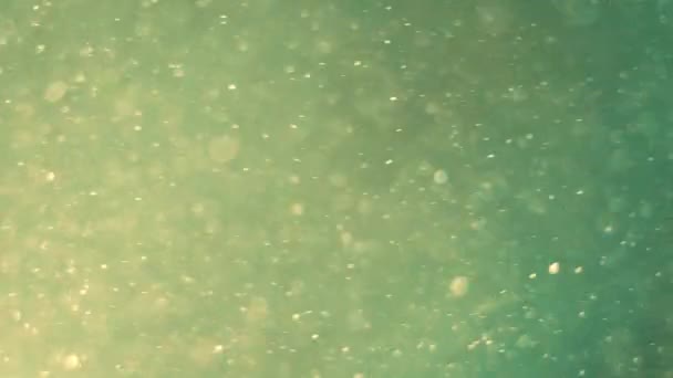 Blurred Background Lettuce Color Many Particles Blurred Air Imitation Snow — Vídeo de stock