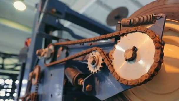 Mechanism Operation Gears Chain Transmission — Stockvideo