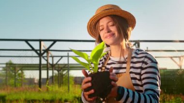 Bitkilerin yetiştirilmesi. Bir kadın bahçıvan yeşil bir bitkinin filizini inceliyor. Eve yakın çiftçilik..
